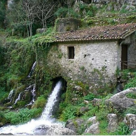 B&B Il Melograno Tortorella エクステリア 写真