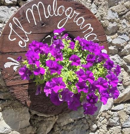 B&B Il Melograno Tortorella エクステリア 写真