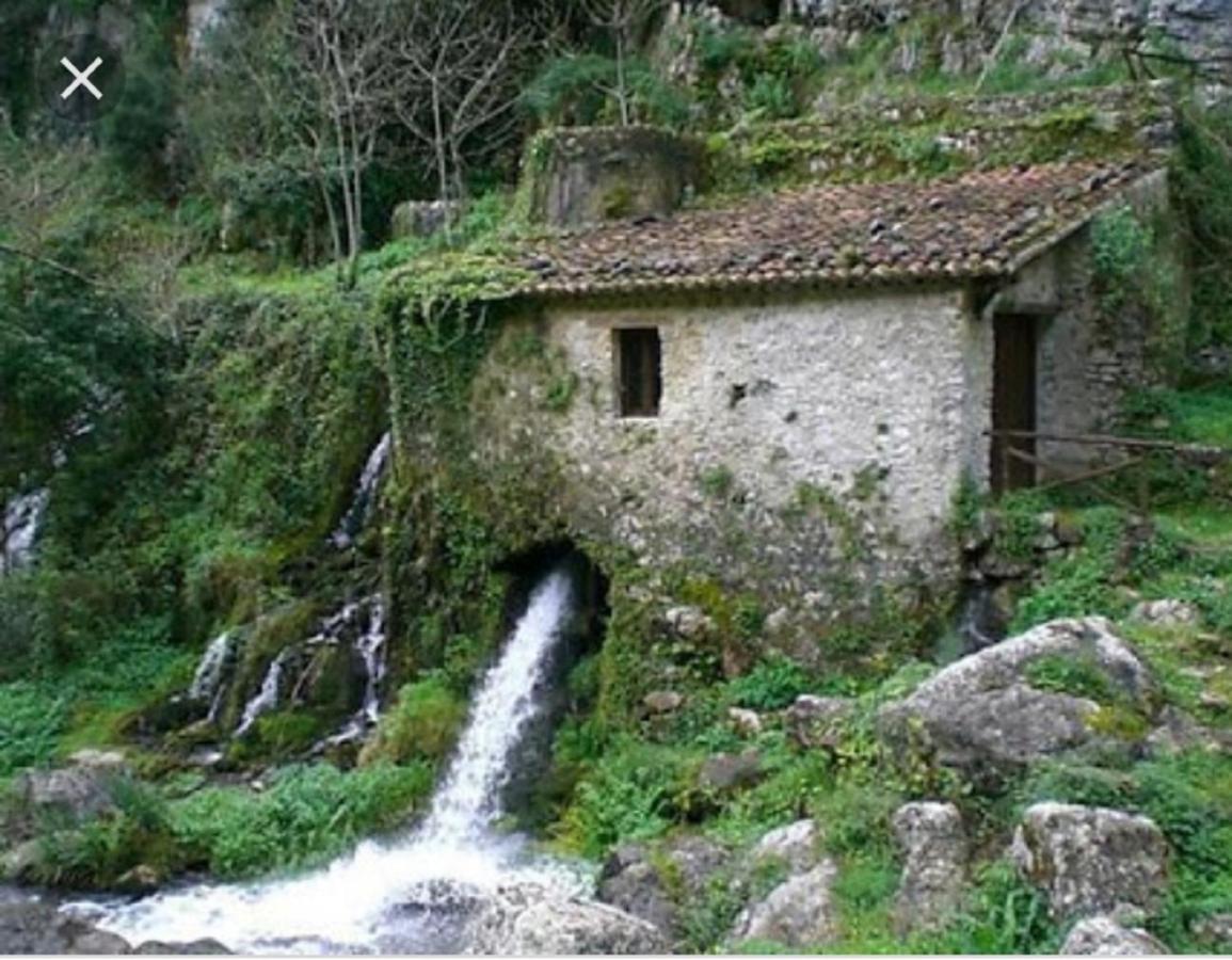 B&B Il Melograno Tortorella エクステリア 写真