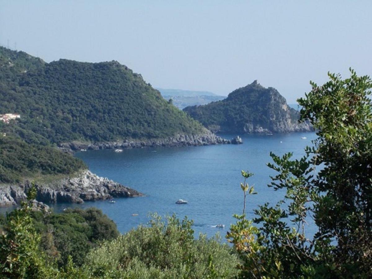 B&B Il Melograno Tortorella エクステリア 写真