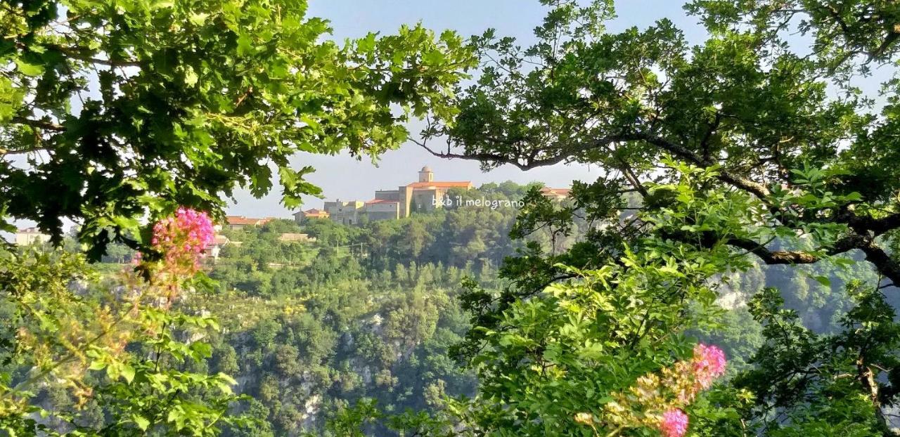 B&B Il Melograno Tortorella エクステリア 写真