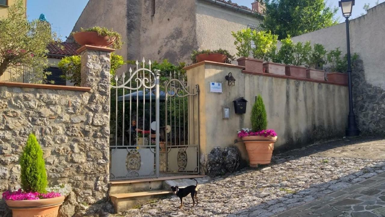 B&B Il Melograno Tortorella エクステリア 写真