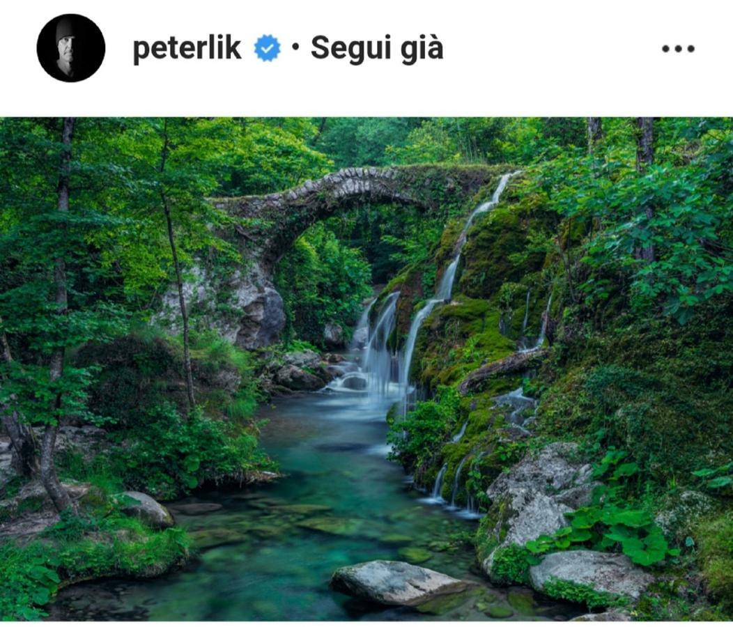 B&B Il Melograno Tortorella エクステリア 写真
