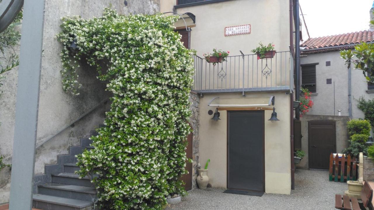 B&B Il Melograno Tortorella エクステリア 写真