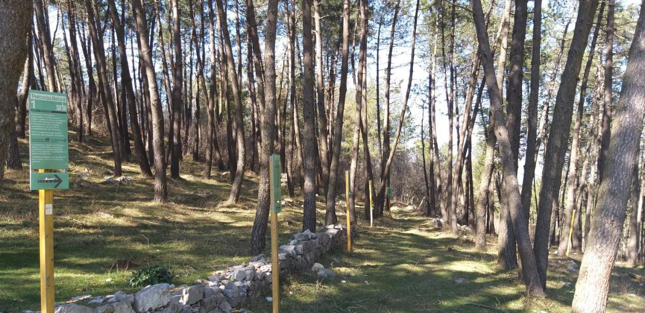 B&B Il Melograno Tortorella エクステリア 写真